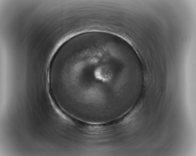 X0000087061515200704181247