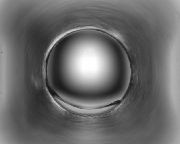 X0000087061516200704181247