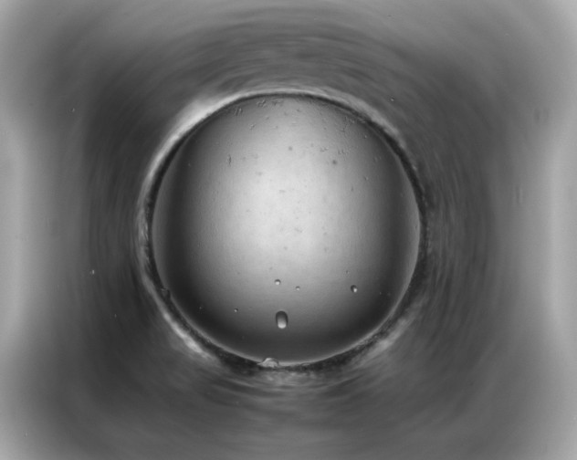 X0000087061517200704181247