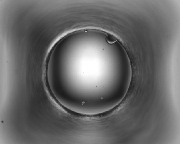 X0000087061518200704181247