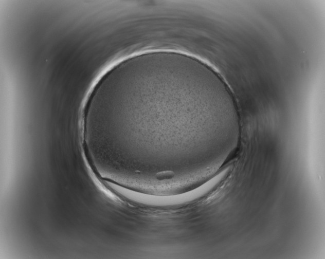 X0000087061519200704181247