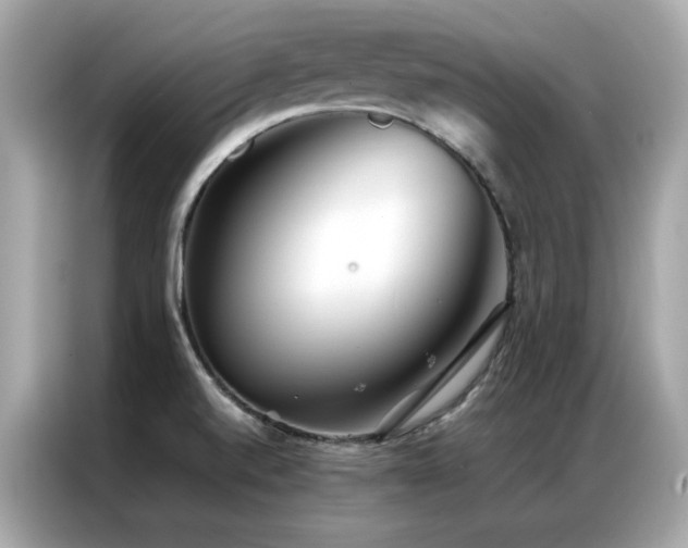 X0000087061520200704181247
