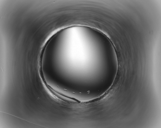 X0000087061523200704181247
