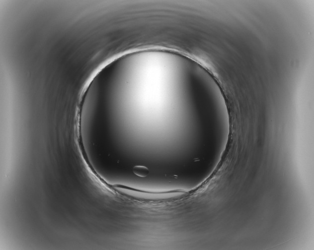 X0000087061524200704181247