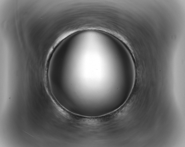 X0000087061525200704181247