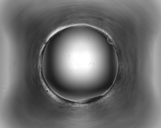 X0000087061526200704181247