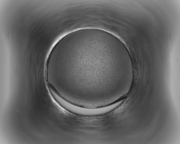X0000087061527200704181247