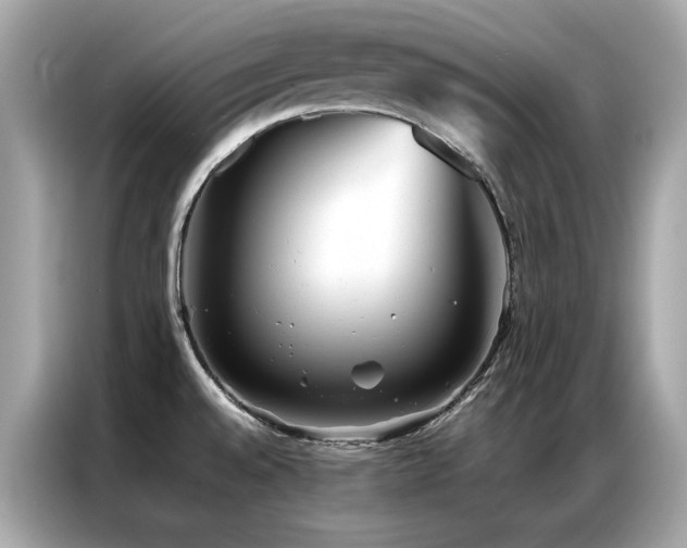 X0000087061528200704181247