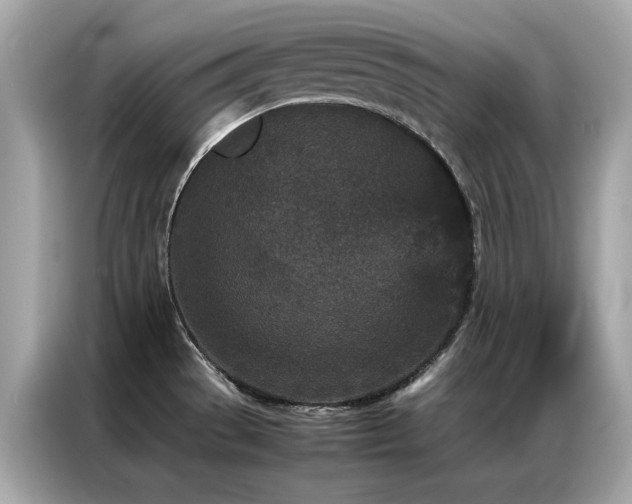 X0000087061529200704181247
