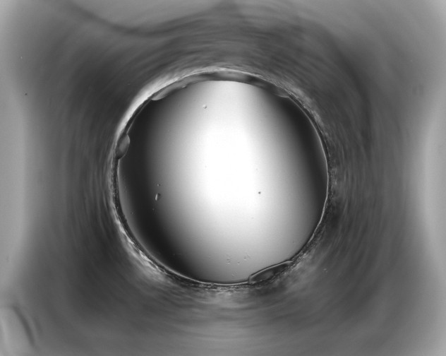 X0000087061530200704181247
