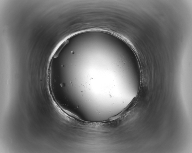 X0000087061532200704181247