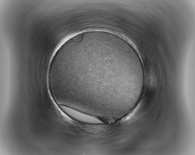 X0000087061533200704181247