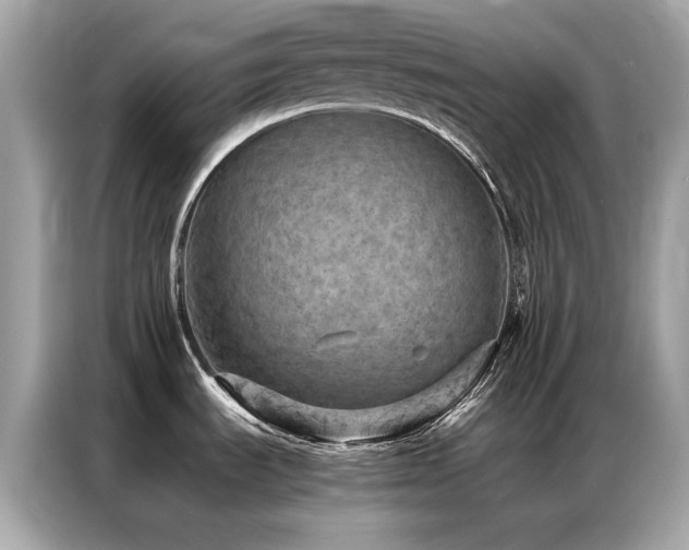 X0000087061535200704181247
