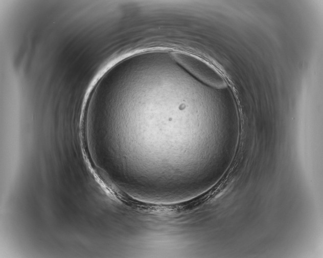 X0000087061536200704181247