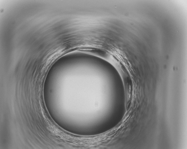 X0000087060001200704251041