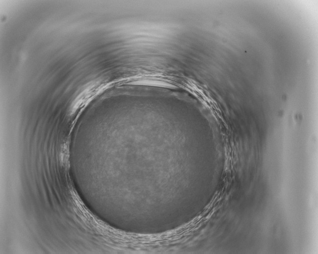 X0000087060002200704251041