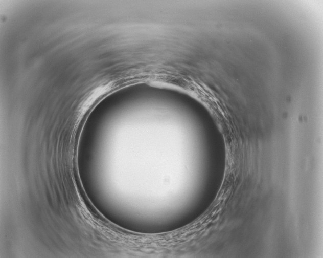 X0000087060003200704251041