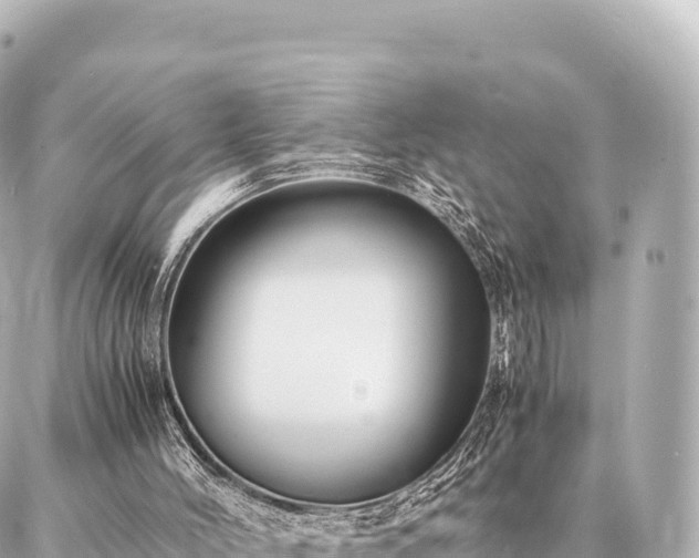 X0000087060004200704251041