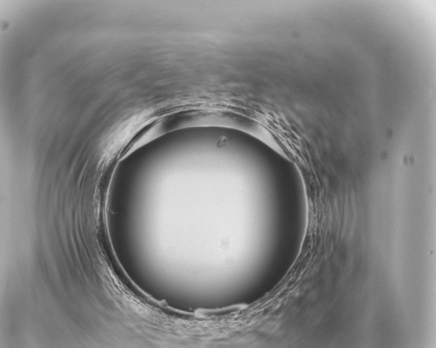 X0000087060005200704251041