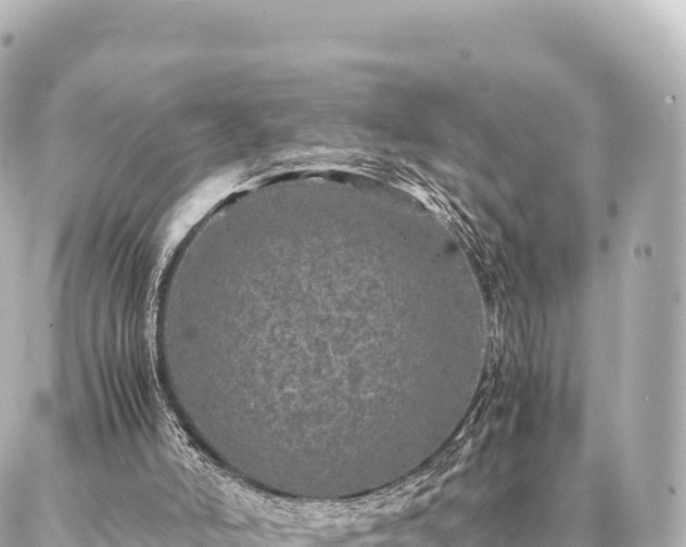 X0000087060006200704251041