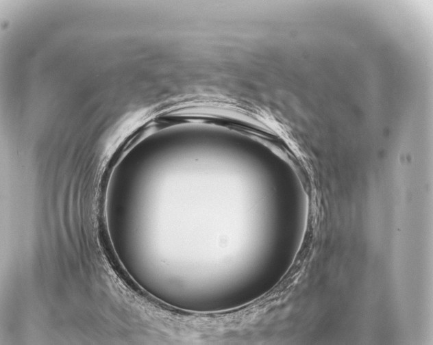 X0000087060007200704251041