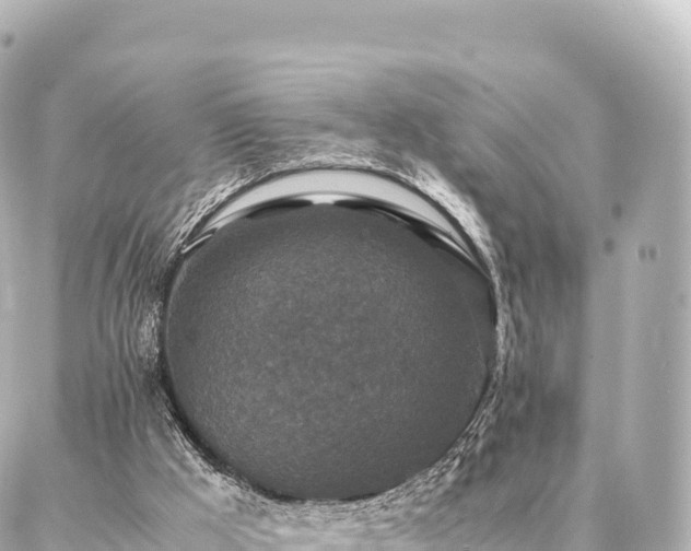 X0000087060009200704251041