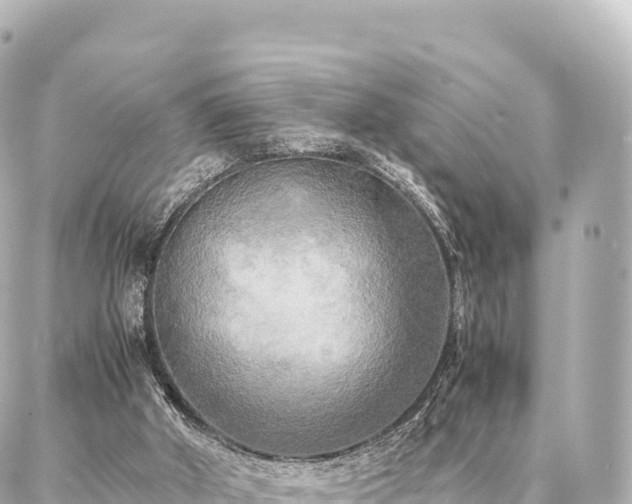 X0000087060010200704251041