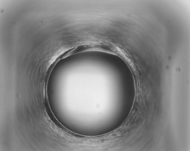 X0000087060011200704251041