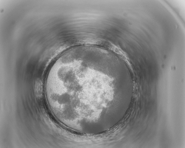 X0000087060012200704251041