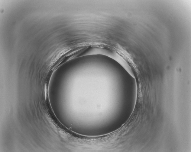 X0000087060013200704251041