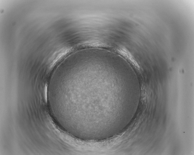 X0000087060014200704251041