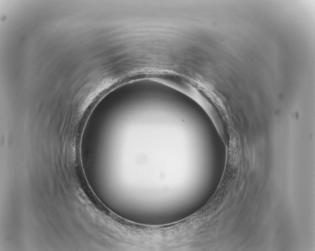 X0000087060015200704251041