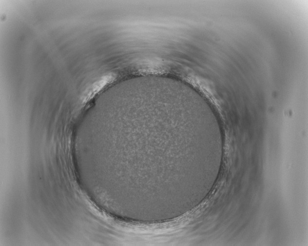 X0000087060017200704251040