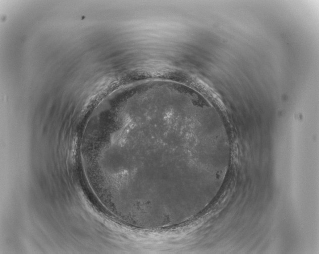 X0000087060018200704251040