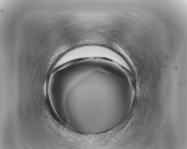 X0000087060019200704251040