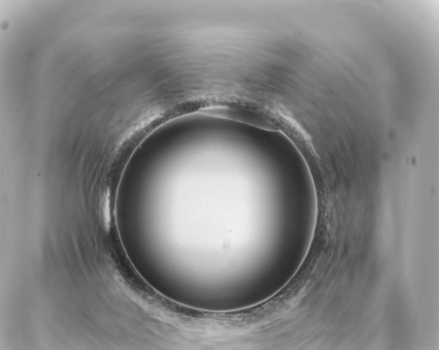 X0000087060020200704251040