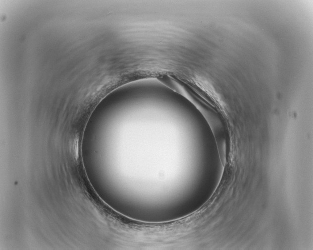 X0000087060021200704251040