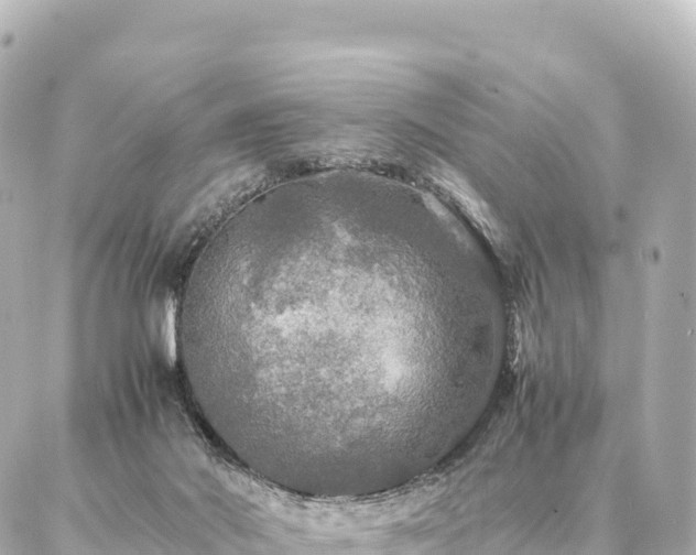 X0000087060022200704251040