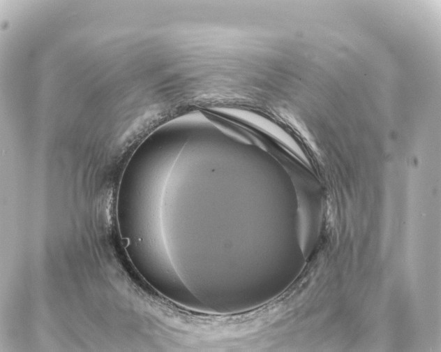 X0000087060023200704251040