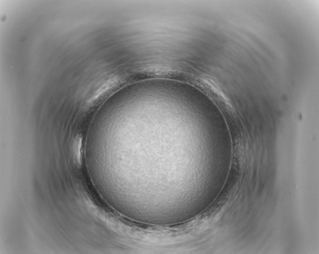 X0000087060024200704251040