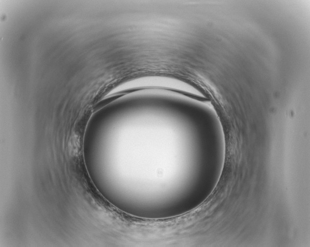 X0000087060025200704251040