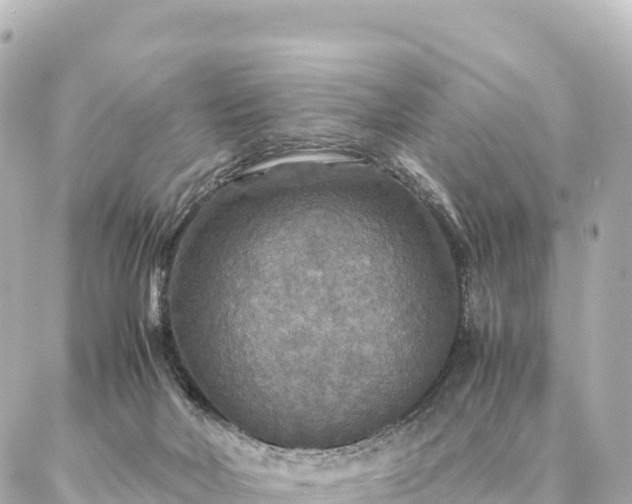 X0000087060026200704251040