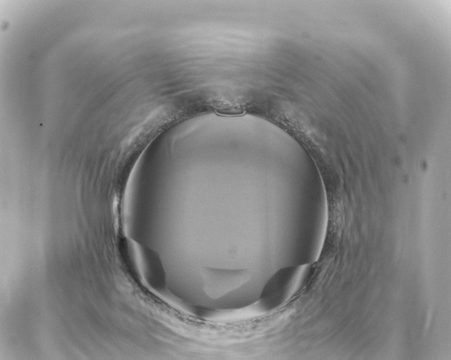 X0000087060027200704251040