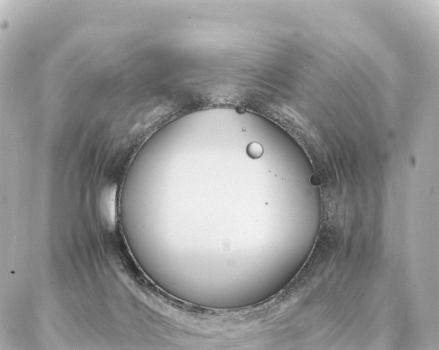 X0000087060028200704251040