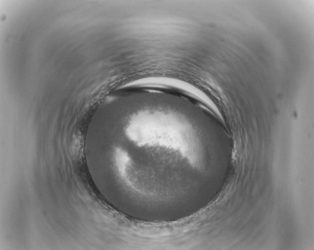 X0000087060029200704251040