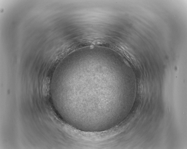 X0000087060030200704251040