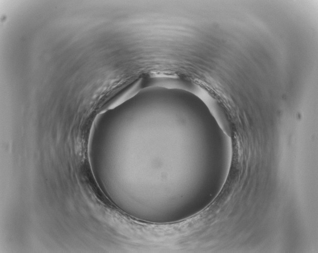 X0000087060031200704251040