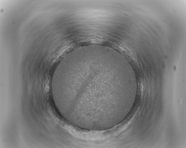 X0000087060032200704251040