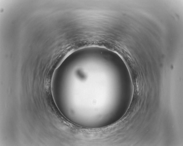 X0000087060033200704251040