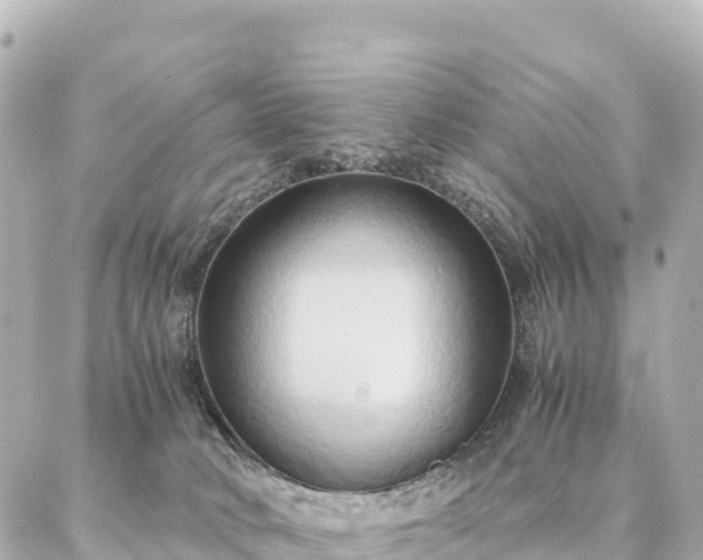 X0000087060034200704251040